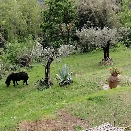 Casale I Due Cipressi Holiday home *